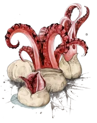 Hand-drawn illustration of Stink Horn mushroom species from Hogsback, South Africa (not AI)